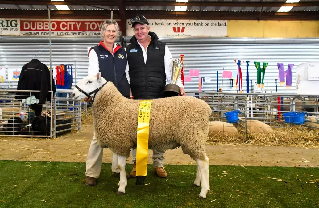 2024 – Talkook top Border Leicester ring at State Sheep Show