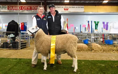 2024 – Talkook top Border Leicester ring at State Sheep Show